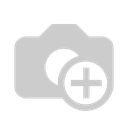F4.1.webp