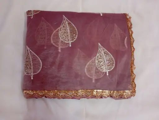 Elegant Brown Color Designer Jimmy chu Saree with Golden Leaf Embroidery & Lace Border